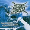 FALLEN YGGDRASIL - Building up a ruin to come (CD)