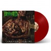 BENIGHTED - Carnivore Sublime [RED] (LP)